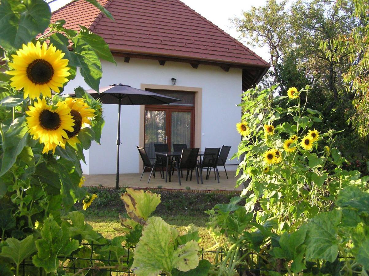 Egrelato Vendeghaz Apartment Balatonakali Ngoại thất bức ảnh